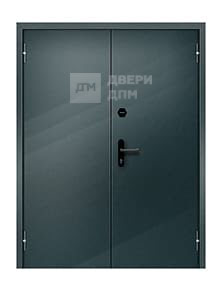 Двупольная глухая ДПМ-02 EI-30 противопожарная дверь взломостойкая
